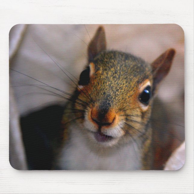 Eichhörnchen Mousepad (Vorne)