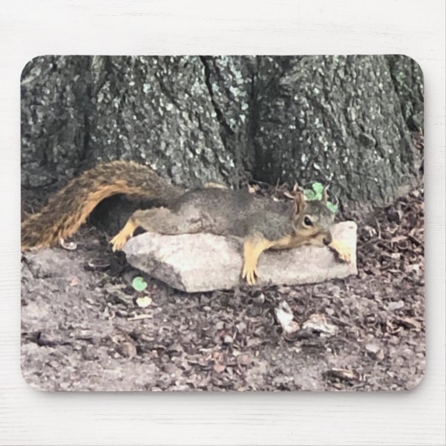 Eichhörnchen Mousepad (Vorne)
