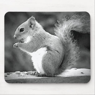Eichhörnchen Mousepad