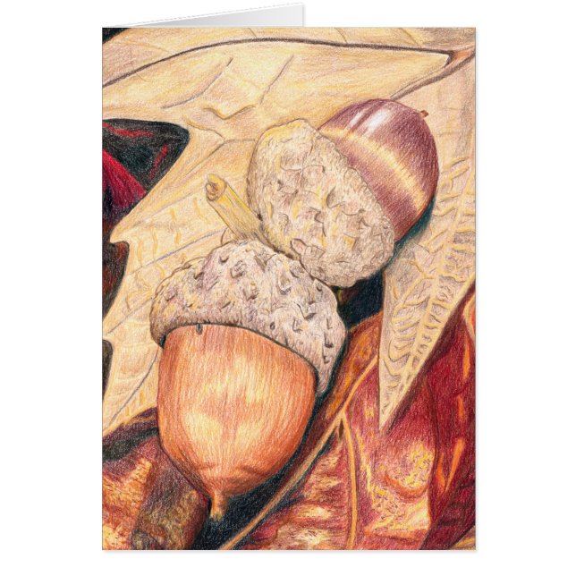 Eichhörnchen-Nahrung (Vorne)