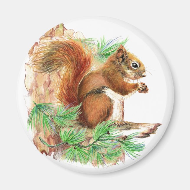 Eichhörnchen Nature Kühlschrankmagnet Magnet (Vorne)