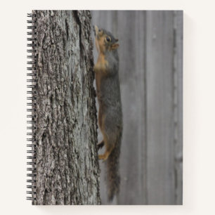 Eichhörnchen Notizbuch