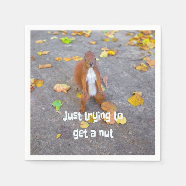 Eichhörnchen nur versuchen, sich eine Nuss zu hole Serviette (Vorderseite)