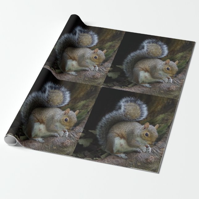 Eichhörnchen-Packpapier Geschenkpapier (Ungerollt)