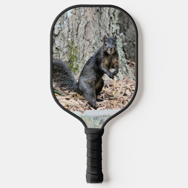 Eichhörnchen Pickleball Schläger (Vorderseite)