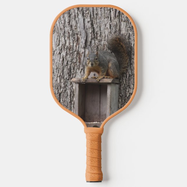 Eichhörnchen Pickleball Schläger (Vorderseite)