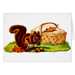 Eichhörnchen Picnic