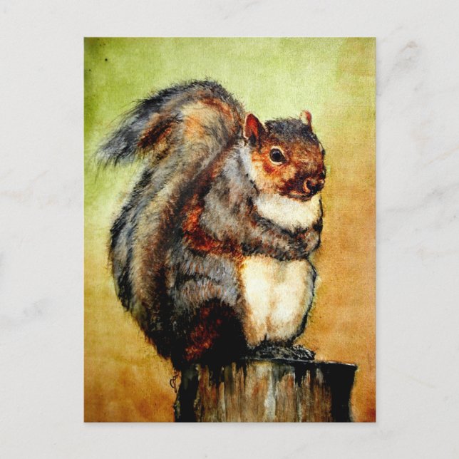 Eichhörnchen Portrait Postkarten (Vorderseite)
