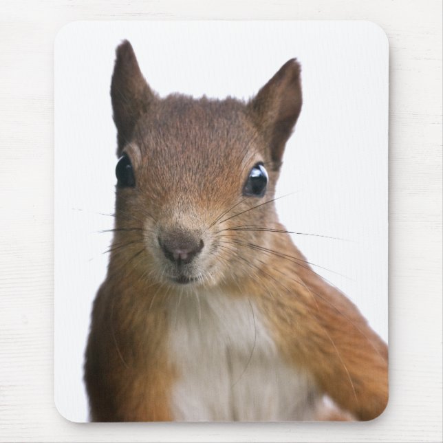 Eichhörnchen-Porträt-Mauspad Mousepad (Vorne)