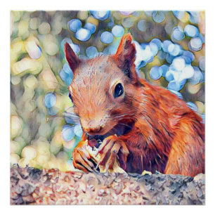 Eichhörnchen Poster