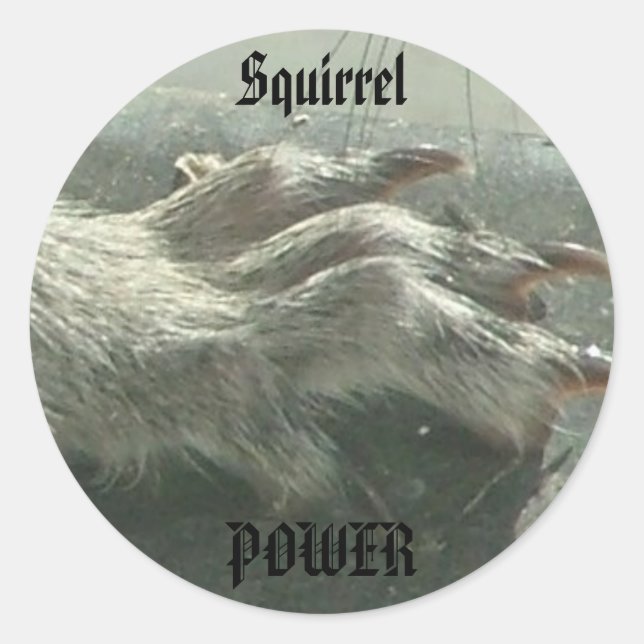 Eichhörnchen-Power Runder Aufkleber (Vorderseite)