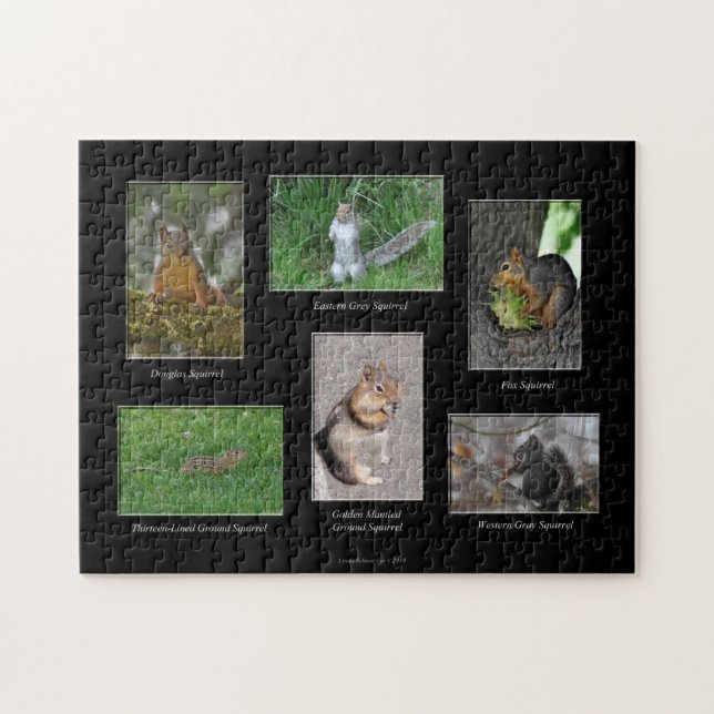 Eichhörnchen! Puzzle (Horizontal)