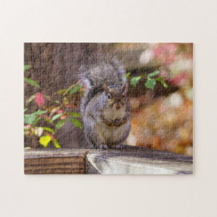Eichhörnchen Puzzle