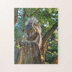 Eichhörnchen Puzzle