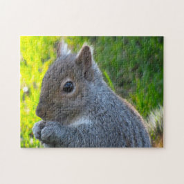 Eichhörnchen Puzzle
