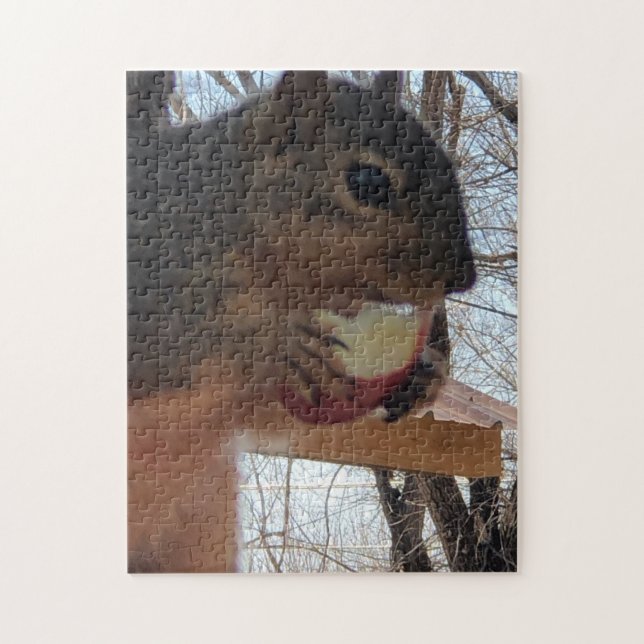 Eichhörnchen Puzzle (Vertikal)