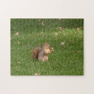 Eichhörnchen Puzzle