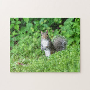 Eichhörnchen Puzzle