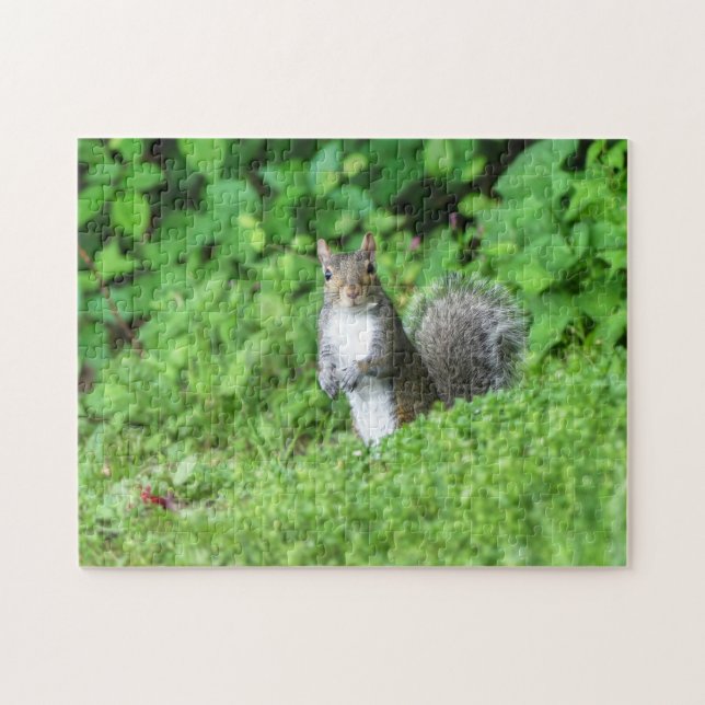 Eichhörnchen Puzzle (Horizontal)