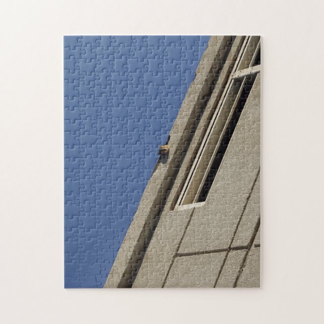 Eichhörnchen-Puzzle Puzzle (Vertikal)