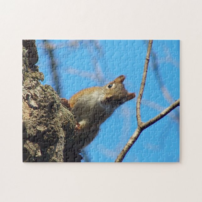 Eichhörnchen-Puzzle Puzzle (Horizontal)