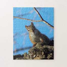 Eichhörnchen-Puzzle Puzzle