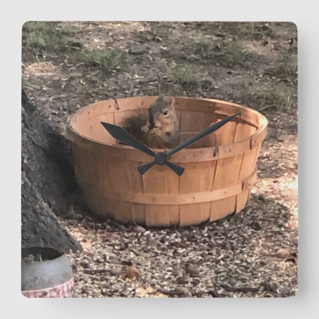 Eichhörnchen Quadratische Wanduhr (Vorderseite)