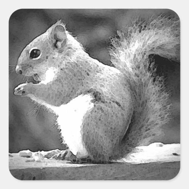 Eichhörnchen Quadratischer Aufkleber (Vorderseite)