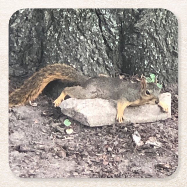 Eichhörnchen Rechteckiger Pappuntersetzer (Vorderseite)