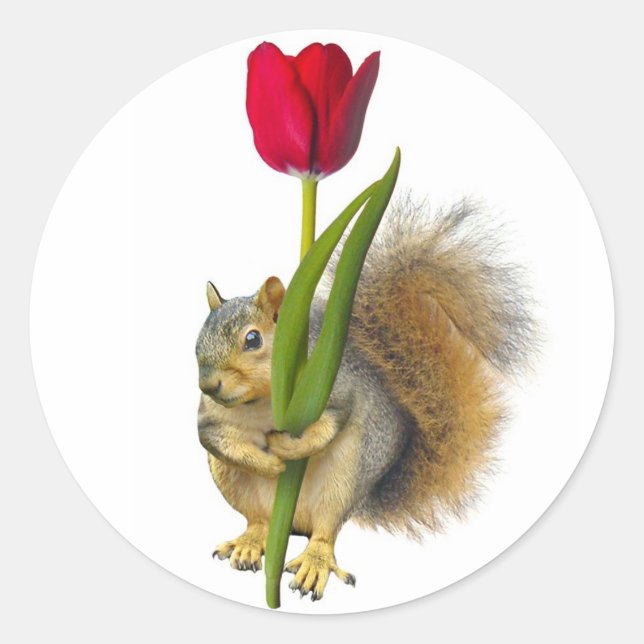 Eichhörnchen Rote Tulip Stickers (Vorderseite)