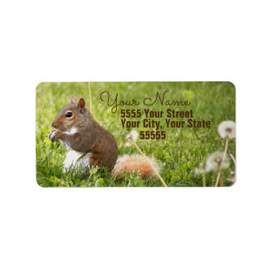 Eichhörnchen-Rücksendeadressen-Aufkleber Adressaufkleber