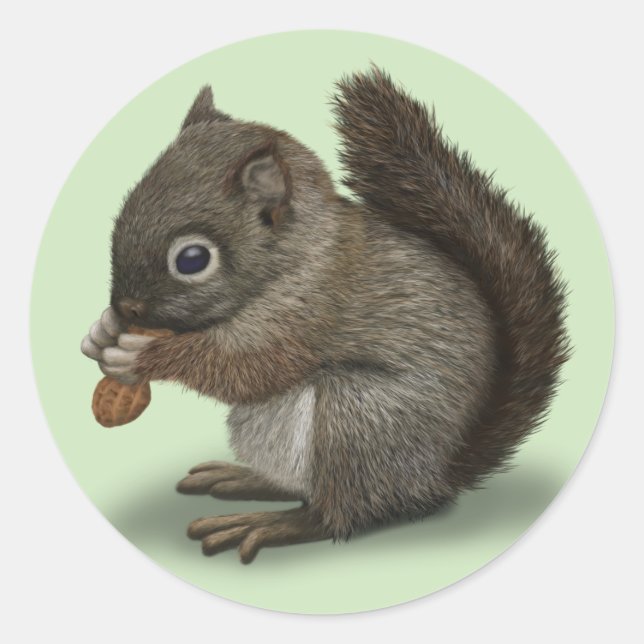 Eichhörnchen Runder Aufkleber (Vorderseite)