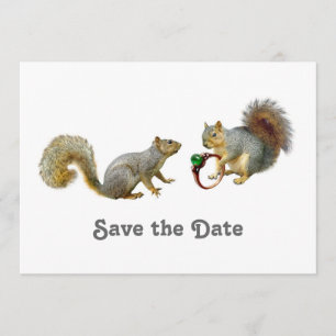 Eichhörnchen Save the Date