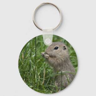 Eichhörnchen Schlüsselanhänger