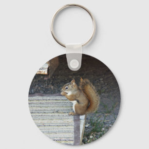 Eichhörnchen Schlüsselanhänger