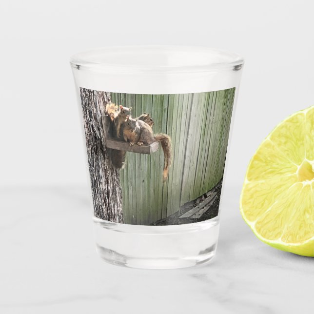 Eichhörnchen Schnapsglas (Vorderseite)