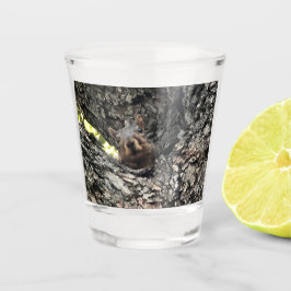 Eichhörnchen Schnapsglas
