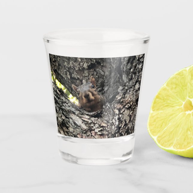 Eichhörnchen Schnapsglas (Vorderseite)
