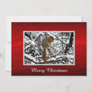 Eichhörnchen Schneebaum Foto Weihnachtsflache Feiertagskarte