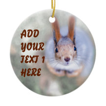 Eichhörnchen sieht dich von unten nach oben an