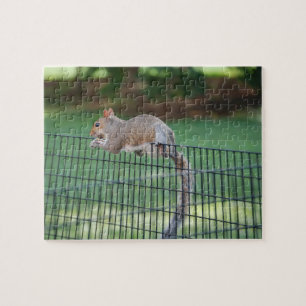 Eichhörnchen Snack, Puzzle, 20 cm x 25 cm, 110 Tei Puzzle