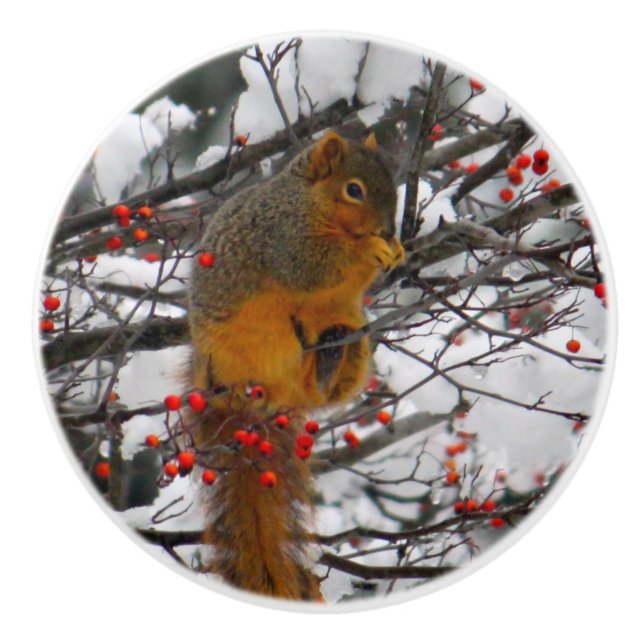 Eichhörnchen Snow Red Berry Tree Foto Keramikknauf (Vorderseite)