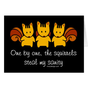 Eichhörnchen stehlen meinen Verstand