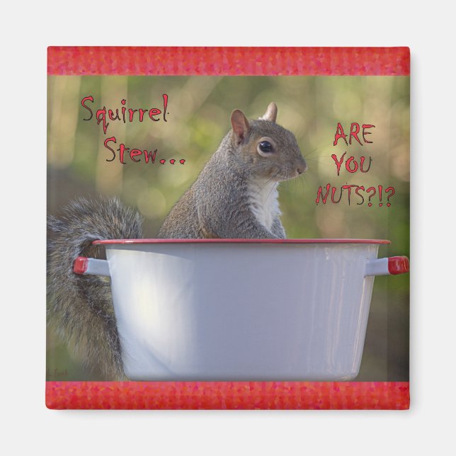Eichhörnchen Stew... SIND SIE NUTS? Magnet (Vorne)