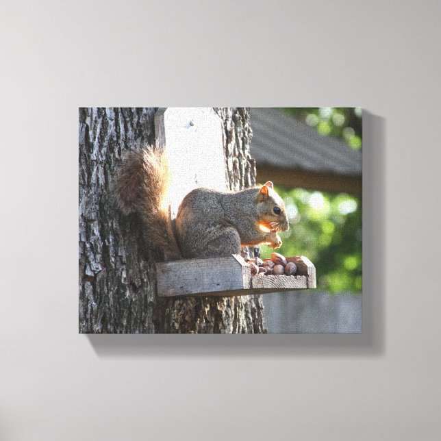 Eichhörnchen Stretched Canvas Print Leinwanddruck (Vorderseite)