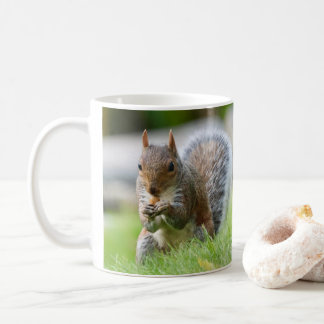 Eichhörnchen-Tasse - bezauberndes graues Eichhörnc Kaffeetasse