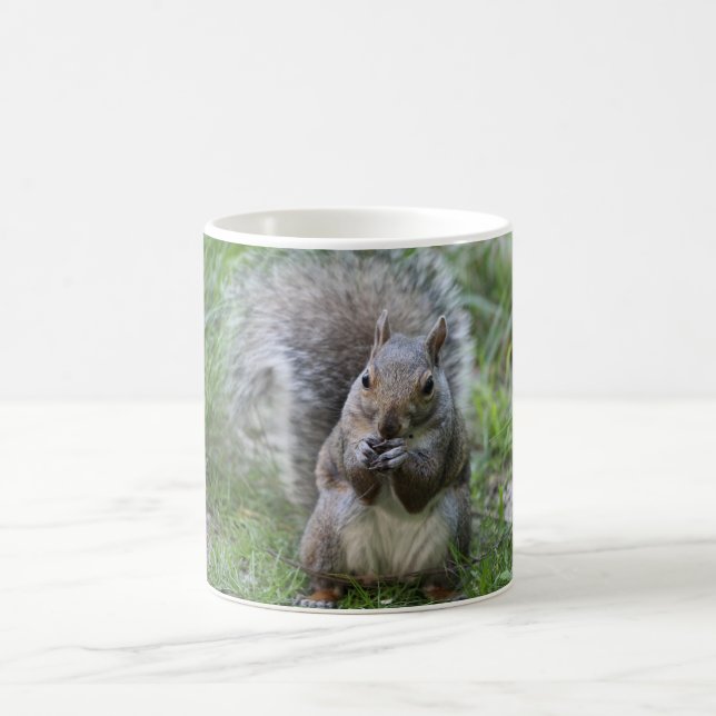 Eichhörnchen-Tasse Tasse (Mittel)