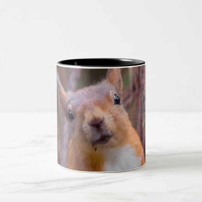 Eichhörnchen-Tasse Zweifarbige Tasse (Mittel)