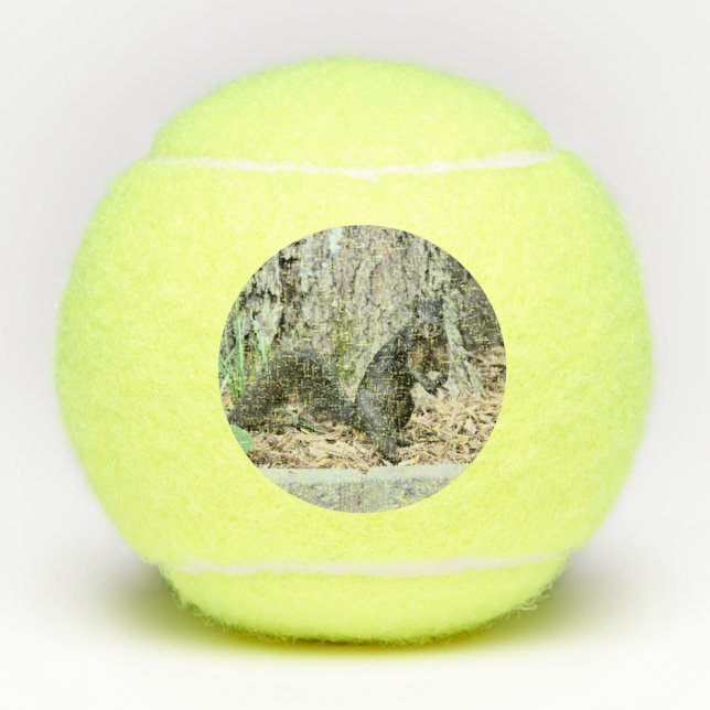Eichhörnchen Tennisbälle (Vorderseite)