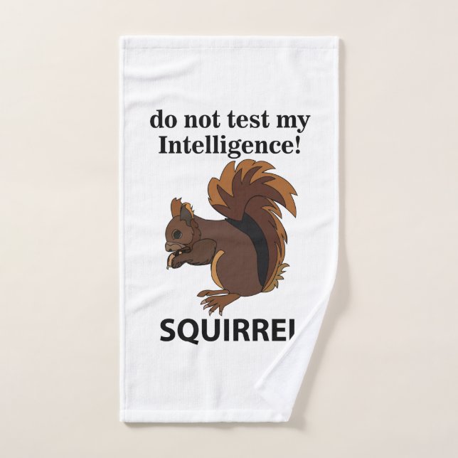 Eichhörnchen testen meine Intelligenz nicht Handtuch (Handtuch)
